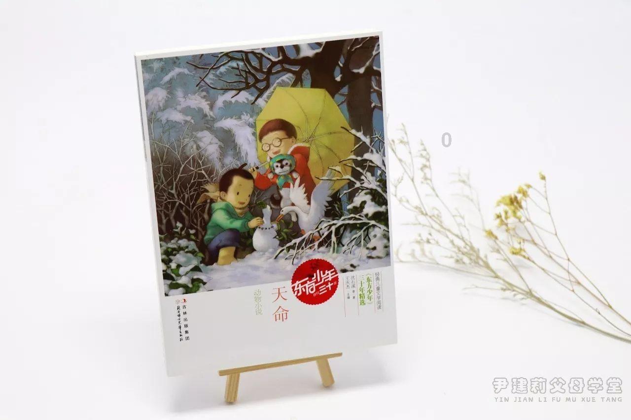 花海探秘 | 这个春天，用跑步来感受罗平的美